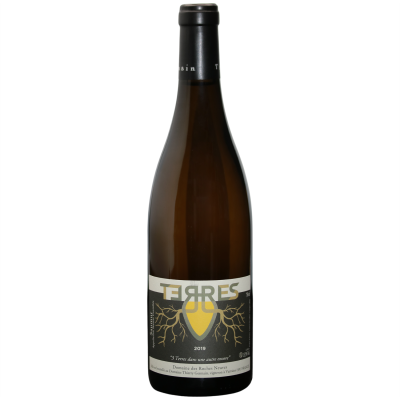 Saumur Terres - Cuvée en Amphore Blanc 2019 - Domaine des Roches Neuves
