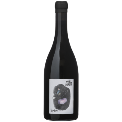 Touraine Supernova Rouge 2020 - Domaine des Grandes Espérances