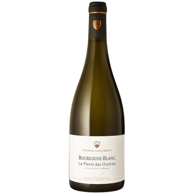 Bourgogne La Plante des Champs Blanc 2021 - Domaine Thomas-Collardot