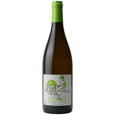 Beaujolais Villages Blanc 2022 - Domaine Damien Coquelet