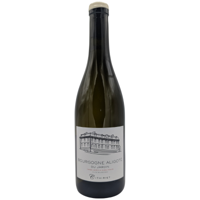 Bourgogne Aligoté Aligoté Du Jardin Blanc 2023 - Maison Camille Thiriet