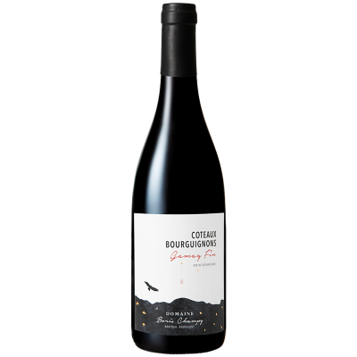 Côteaux Bourguignons Gamay Fin Rouge 2022 - Domaine Boris Champy