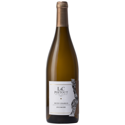 Petit Chablis Sycomore Blanc 2023 - Domaine LC Poitout