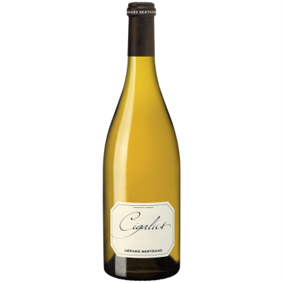 Aude Hauterive Cigalus MAGNUM Blanc 2020 - Gérard Bertrand